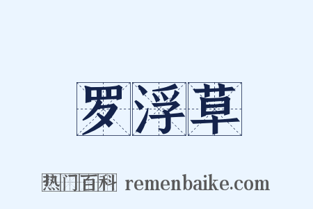 罗浮草是什么意思的图片